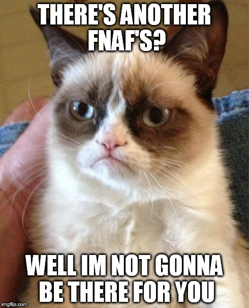 Grumpy Cat | THERE'S ANOTHER FNAF'S? WELL IM NOT GONNA BE THERE FOR YOU | image tagged in memes,grumpy cat | made w/ Imgflip meme maker