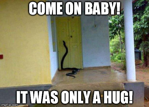COME ON BABY! IT WAS ONLY A HUG! | image tagged in lying snake | made w/ Imgflip meme maker