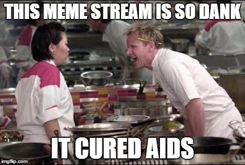 THIS MEME STREAM IS SO DANK IT CURED AIDS | made w/ Imgflip meme maker