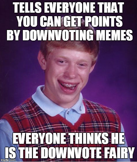 Bad Luck Brian | TELLS EVERYONE THAT YOU CAN GET POINTS BY DOWNVOTING MEMES EVERYONE THINKS HE IS THE DOWNVOTE FAIRY | image tagged in memes,bad luck brian | made w/ Imgflip meme maker