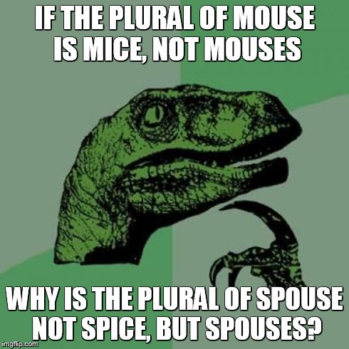Philosoraptor | IF THE PLURAL OF MOUSE IS MICE, NOT MOUSES WHY IS THE PLURAL OF SPOUSE NOT SPICE, BUT SPOUSES? | image tagged in memes,philosoraptor | made w/ Imgflip meme maker