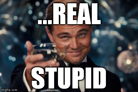 Leonardo Dicaprio Cheers Meme | ...REAL STUPID | image tagged in memes,leonardo dicaprio cheers | made w/ Imgflip meme maker