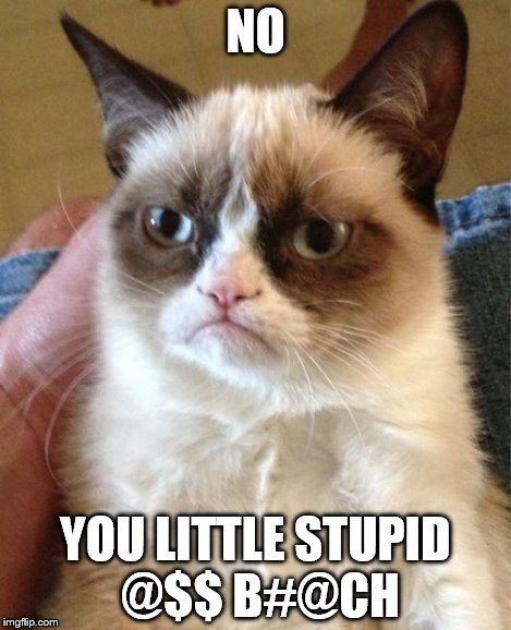 Grumpy Cat Meme | NO YOU LITTLE STUPID @$$ B#@CH | image tagged in memes,grumpy cat | made w/ Imgflip meme maker