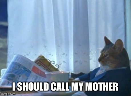 I Should Buy A Boat Cat | I SHOULD CALL MY MOTHER | image tagged in memes,i should buy a boat cat | made w/ Imgflip meme maker