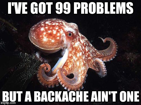 there are zero octopus chiropractors | I'VE GOT 99 PROBLEMS BUT A BACKACHE AIN'T ONE | image tagged in octopus,carefree octopus | made w/ Imgflip meme maker