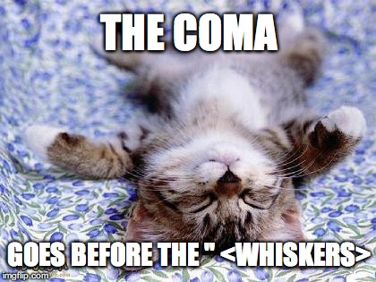 THE COMA GOES BEFORE THE " <WHISKERS> | made w/ Imgflip meme maker