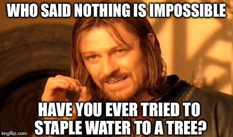 One Does Not Simply | WHO SAID NOTHING IS IMPOSSIBLE HAVE YOU EVER TRIED TO STAPLE WATER TO A TREE? | image tagged in memes,one does not simply | made w/ Imgflip meme maker