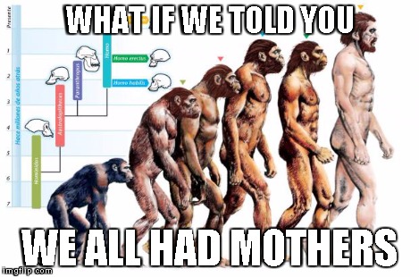 WHAT IF WE TOLD YOU WE ALL HAD MOTHERS | image tagged in human evolution | made w/ Imgflip meme maker