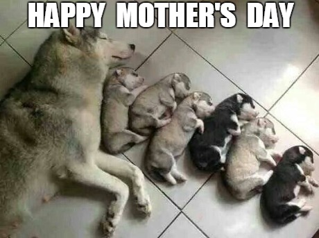 Happy Mother's Day | HAPPY  MOTHER'S  DAY | image tagged in inspriational,happy mother's day | made w/ Imgflip meme maker