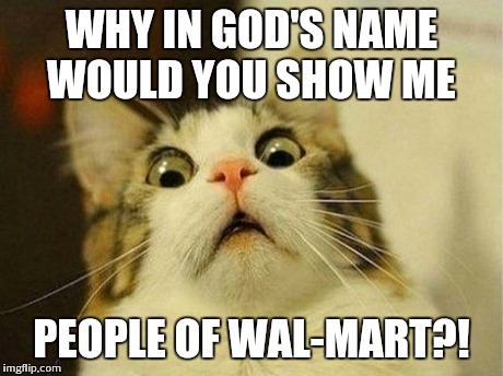 Scared Cat Meme | WHY IN GOD'S NAME WOULD YOU SHOW ME PEOPLE OF WAL-MART?! | image tagged in memes,scared cat | made w/ Imgflip meme maker