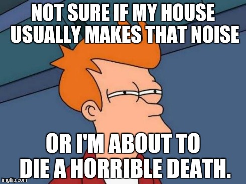 Futurama Fry | NOT SURE IF MY HOUSE USUALLY MAKES THAT NOISE OR I'M ABOUT TO DIE A HORRIBLE DEATH. | image tagged in memes,futurama fry | made w/ Imgflip meme maker