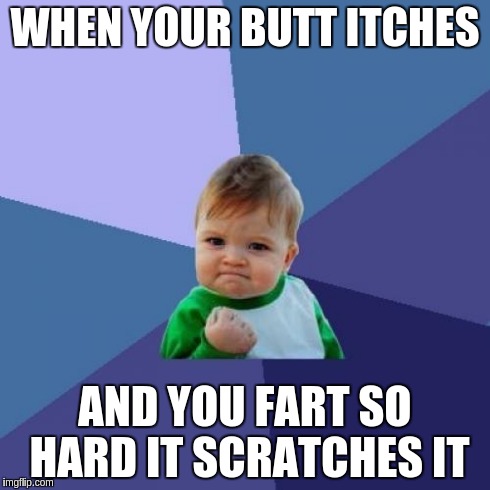 Success Kid Meme | WHEN YOUR BUTT ITCHES AND YOU FART SO HARD IT SCRATCHES IT | image tagged in memes,success kid | made w/ Imgflip meme maker
