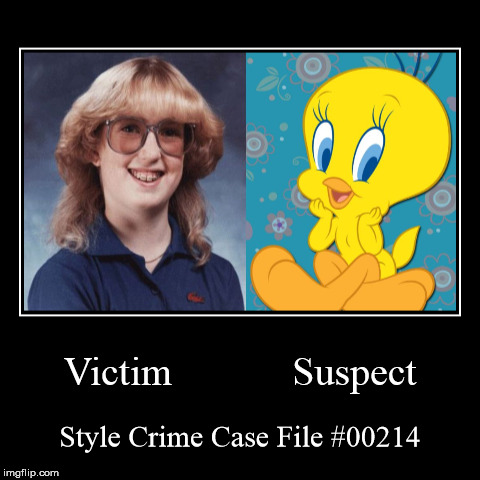 Style Crime Case File #00214 | image tagged in funny,demotivationals,style crime case file | made w/ Imgflip demotivational maker