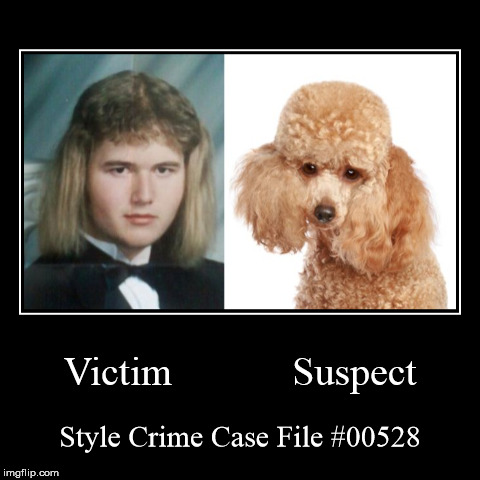 Style Crime Case File #00528 | image tagged in funny,demotivationals,style crime case file | made w/ Imgflip demotivational maker