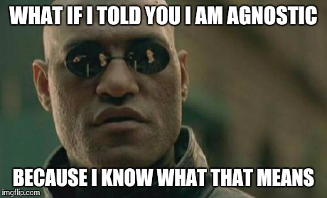 Matrix Morpheus Meme | WHAT IF I TOLD YOU I AM AGNOSTIC BECAUSE I KNOW WHAT THAT MEANS | image tagged in memes,matrix morpheus | made w/ Imgflip meme maker