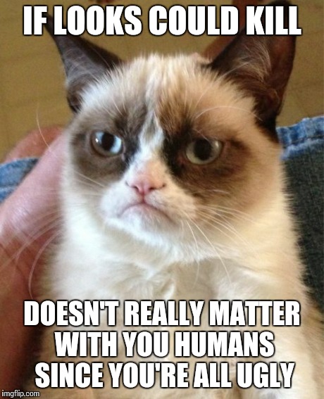Racist(?) grumpy cat | IF LOOKS COULD KILL DOESN'T REALLY MATTER WITH YOU HUMANS SINCE YOU'RE ALL UGLY | image tagged in memes,grumpy cat | made w/ Imgflip meme maker