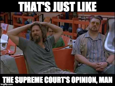 THAT'S JUST LIKE THE SUPREME COURT'S OPINION, MAN | image tagged in opinion | made w/ Imgflip meme maker
