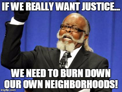 Too Damn High | IF WE REALLY WANT JUSTICE... WE NEED TO BURN DOWN OUR OWN NEIGHBORHOODS! | image tagged in memes,too damn high | made w/ Imgflip meme maker