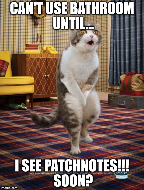 Gotta Go Cat Meme | CAN'T USE BATHROOM UNTIL... I SEE PATCHNOTES!!! SOON? | image tagged in memes,gotta go cat | made w/ Imgflip meme maker