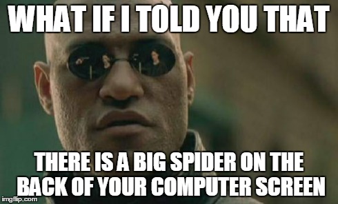 Spider | WHAT IF I TOLD YOU THAT THERE IS A BIG SPIDER ON THE BACK OF YOUR COMPUTER SCREEN | image tagged in memes,matrix morpheus | made w/ Imgflip meme maker