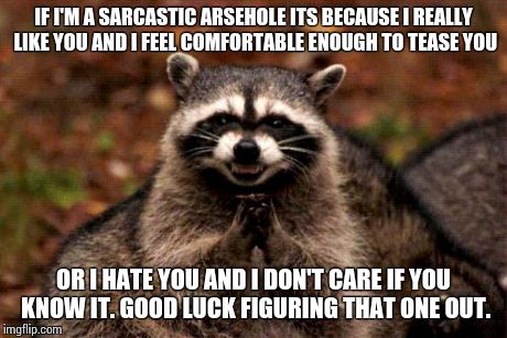 Evil Plotting Raccoon | IF I'M A SARCASTIC ARSEHOLE ITS BECAUSE I REALLY LIKE YOU AND I FEEL COMFORTABLE ENOUGH TO TEASE YOU OR I HATE YOU AND I DON'T CARE IF YOU K | image tagged in memes,evil plotting raccoon | made w/ Imgflip meme maker