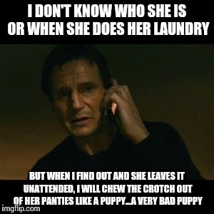 Liam Neeson Taken Meme | I DON'T KNOW WHO SHE IS OR WHEN SHE DOES HER LAUNDRY BUT WHEN I FIND OUT AND SHE LEAVES IT UNATTENDED, I WILL CHEW THE CROTCH OUT OF HER PAN | image tagged in memes,liam neeson taken | made w/ Imgflip meme maker