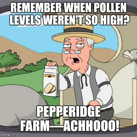 Pepperidge Farm(sniff)Remembers  | REMEMBER WHEN POLLEN LEVELS WEREN'T SO HIGH? PEPPERIDGE FARM––ACHHOOO! | image tagged in memes,pepperidge farm remembers,allergies,spring,funny,summer | made w/ Imgflip meme maker