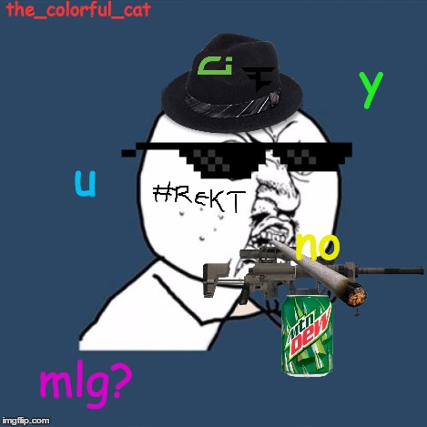 Y U No Meme | the_colorful_cat y u no mlg? | image tagged in memes,y u no | made w/ Imgflip meme maker