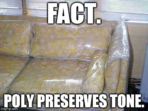 FACT. POLY PRESERVES TONE. | made w/ Imgflip meme maker