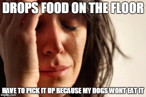 First World Problems Meme | DROPS FOOD ON THE FLOOR HAVE TO PICK IT UP BECAUSE MY DOGS WONT EAT IT | image tagged in memes,first world problems | made w/ Imgflip meme maker