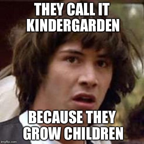 Conspiracy Keanu | THEY CALL IT KINDERGARDEN BECAUSE THEY GROW CHILDREN | image tagged in memes,conspiracy keanu | made w/ Imgflip meme maker