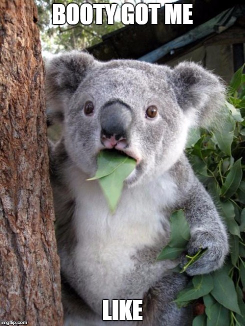 Surprised Koala | BOOTY GOT ME LIKE | image tagged in memes,surprised koala | made w/ Imgflip meme maker
