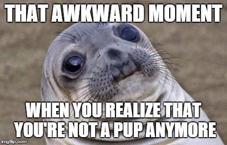 Awkward Moment Sealion | THAT AWKWARD MOMENT WHEN YOU REALIZE THAT YOU'RE NOT A PUP ANYMORE | image tagged in memes,awkward moment sealion | made w/ Imgflip meme maker