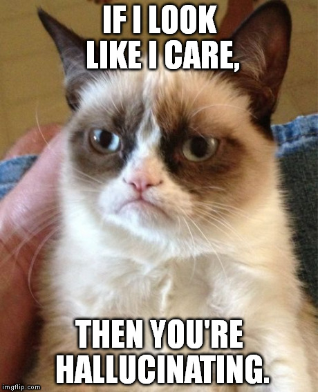 Words of wisdom from Grumpy Cat: | IF I LOOK LIKE I CARE, THEN YOU'RE HALLUCINATING. | image tagged in memes,grumpy cat | made w/ Imgflip meme maker