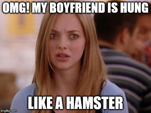 OMG Karen | OMG! MY BOYFRIEND IS HUNG LIKE A HAMSTER | image tagged in memes,omg karen | made w/ Imgflip meme maker