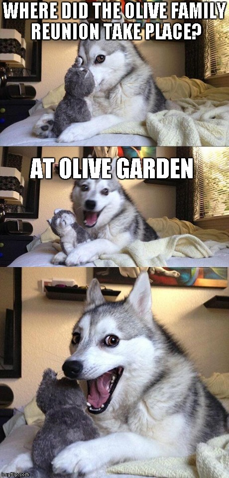 Bad Pun Dog | WHERE DID THE OLIVE FAMILY REUNION TAKE PLACE? AT OLIVE GARDEN | image tagged in memes,bad pun dog | made w/ Imgflip meme maker