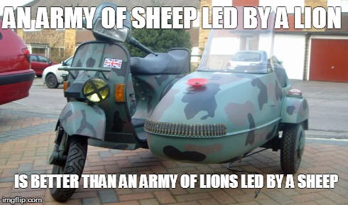 sheep | AN ARMY OF SHEEP LED BY A LION IS BETTER THAN AN ARMY OF LIONS LED BY A SHEEP | image tagged in inspirational quote | made w/ Imgflip meme maker