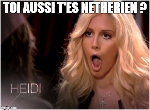 So Much Drama Meme | TOI AUSSI T'ES NETHERIEN ? | image tagged in memes,so much drama | made w/ Imgflip meme maker
