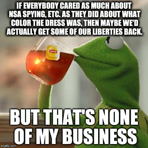 But That's None Of My Business Meme | IF EVERYBODY CARED AS MUCH ABOUT NSA SPYING, ETC. AS THEY DID ABOUT WHAT COLOR THE DRESS WAS, THEN MAYBE WE'D ACTUALLY GET SOME OF OUR LIBER | image tagged in memes,but thats none of my business,kermit the frog | made w/ Imgflip meme maker