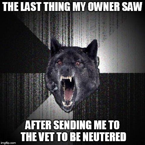 Insanity Wolf Meme | THE LAST THING MY OWNER SAW AFTER SENDING ME TO THE VET TO BE NEUTERED | image tagged in memes,insanity wolf | made w/ Imgflip meme maker