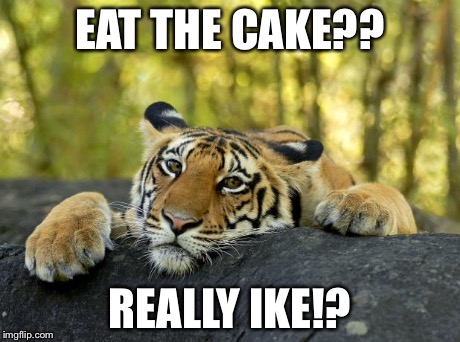 Confession Tiger | EAT THE CAKE?? REALLY IKE!? | image tagged in confession tiger | made w/ Imgflip meme maker