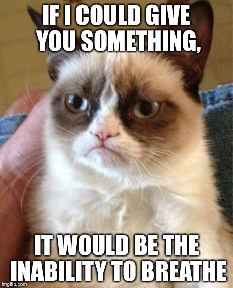 Grumpy Cat | IF I COULD GIVE YOU SOMETHING, IT WOULD BE THE INABILITY TO BREATHE | image tagged in memes,grumpy cat | made w/ Imgflip meme maker