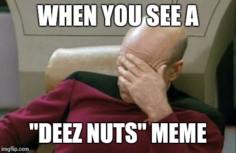 Captain Picard Facepalm | WHEN YOU SEE A "DEEZ NUTS" MEME | image tagged in memes,captain picard facepalm | made w/ Imgflip meme maker