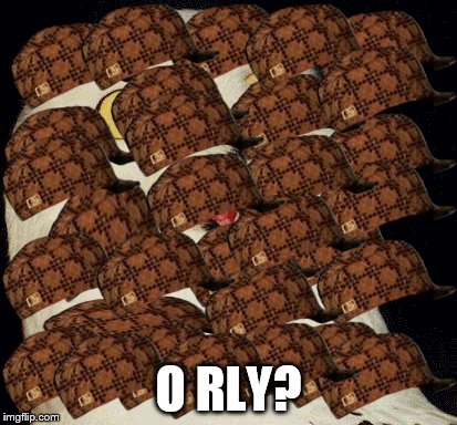 o rly | O RLY? | image tagged in o rly,scumbag | made w/ Imgflip meme maker