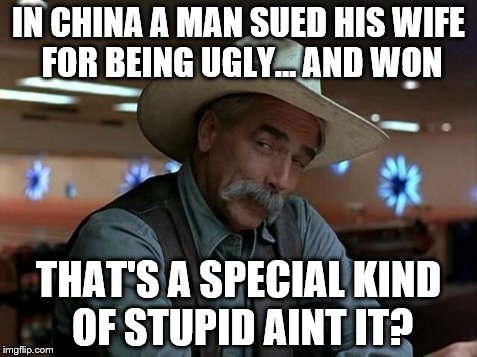 special kind of stupid | IN CHINA A MAN SUED HIS WIFE FOR BEING UGLY... AND WON THAT'S A SPECIAL KIND OF STUPID AINT IT? | image tagged in special kind of stupid | made w/ Imgflip meme maker