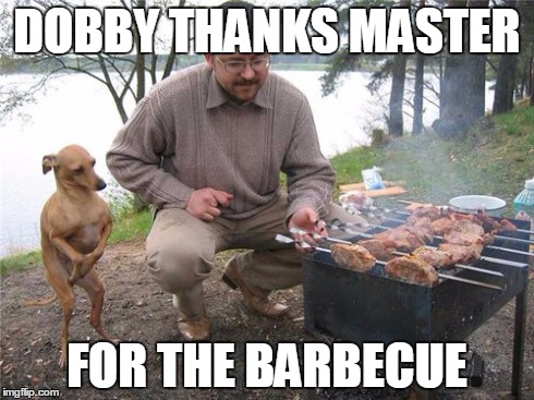 Dobby thanks master | DOBBY THANKS MASTER FOR THE BARBECUE | image tagged in dobby,harry potter,barbecue | made w/ Imgflip meme maker