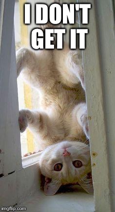 upside down cat | I DON'T GET IT | image tagged in upside down cat | made w/ Imgflip meme maker