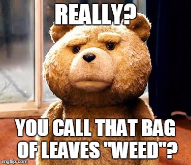 TED Meme | REALLY? YOU CALL THAT BAG OF LEAVES "WEED"? | image tagged in memes,ted | made w/ Imgflip meme maker