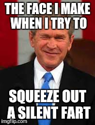 George Bush | THE FACE I MAKE WHEN I TRY TO SQUEEZE OUT A SILENT FART | image tagged in memes,george bush | made w/ Imgflip meme maker