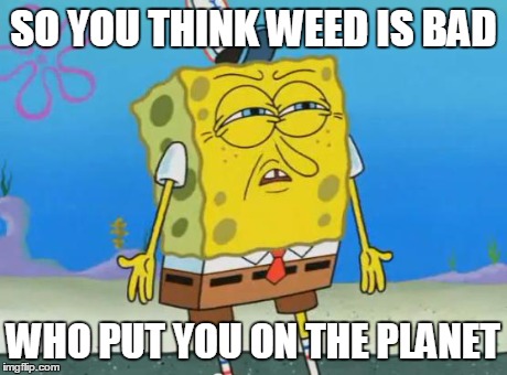 Angry Spongebob | SO YOU THINK WEED IS BAD WHO PUT YOU ON THE PLANET | image tagged in angry spongebob | made w/ Imgflip meme maker